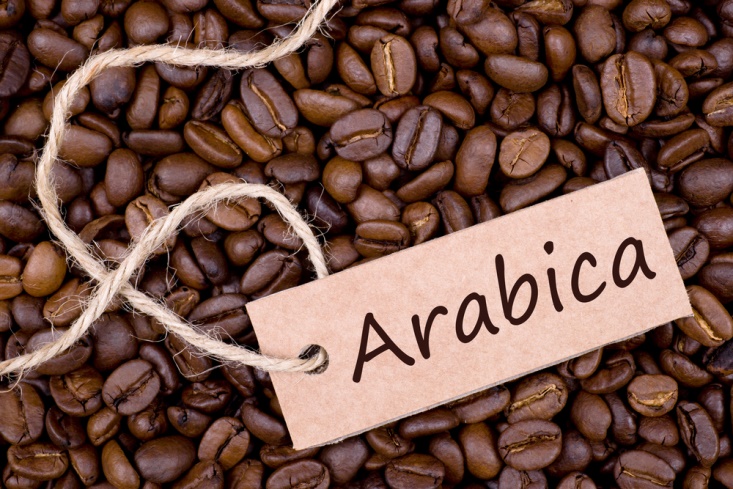 arabica-cafe-may-hang-noi-tieng-tren-toan-the-gioi