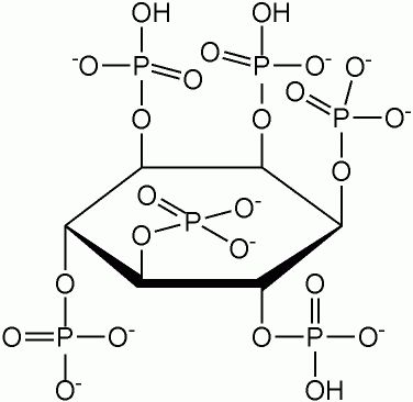 axit-phytic