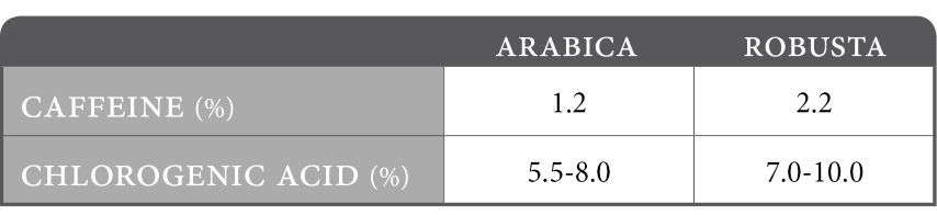 caffeine-va-acid-chlorogenic-trong-arabica-robusta