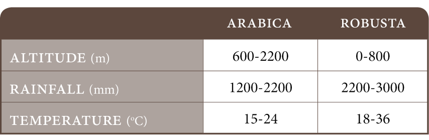 dieu-kien-sinh-truong-arabica-robusta