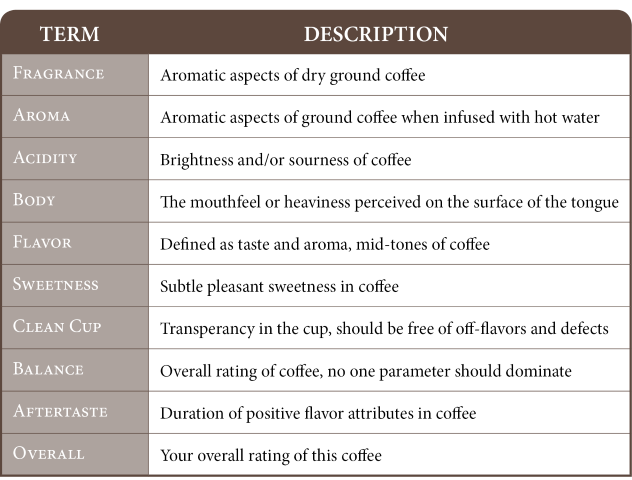 thuat-ngu-cupping-thuong-dung